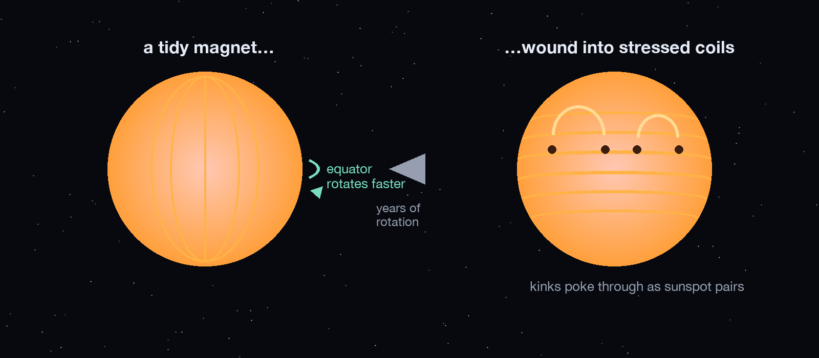 Two-panel diagram: a Sun with tidy pole-to-pole field lines, then the same Sun with the field wound into coils, with loops and sunspot pairs poking through